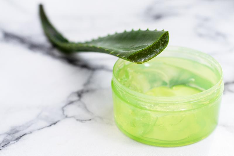 Aloe vera Aloe vera