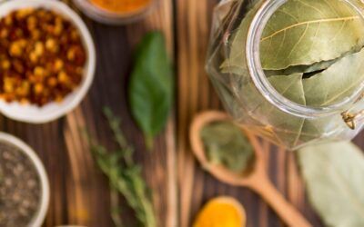 ¿Qué es la fitoterapia y para qué sirve?