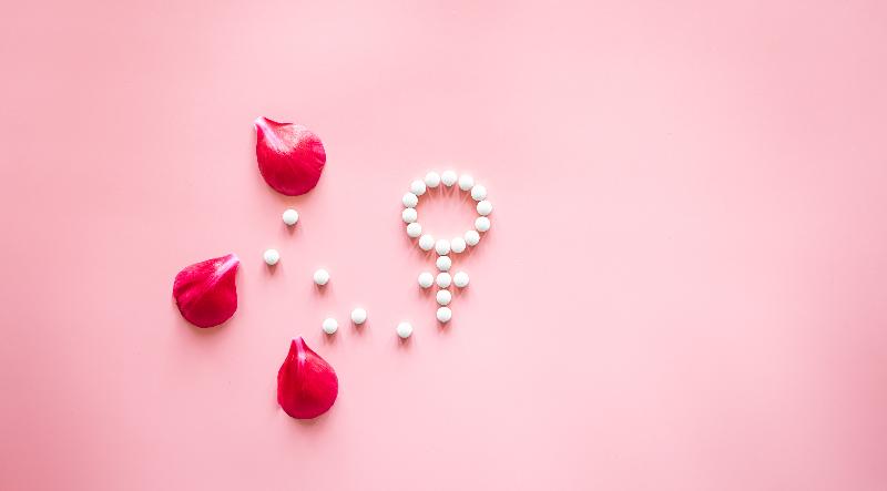 Estrógenos menopausia Estrógenos menopausia