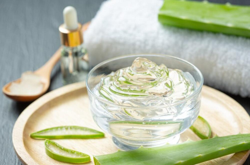 Aloe vera